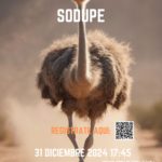 XXXVIII. SAN SILVESTRE - SODUPE - 2024